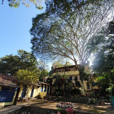 Casa Da Fonte Hospedaria Otel Miguel Pereira Dış mekan fotoğraf